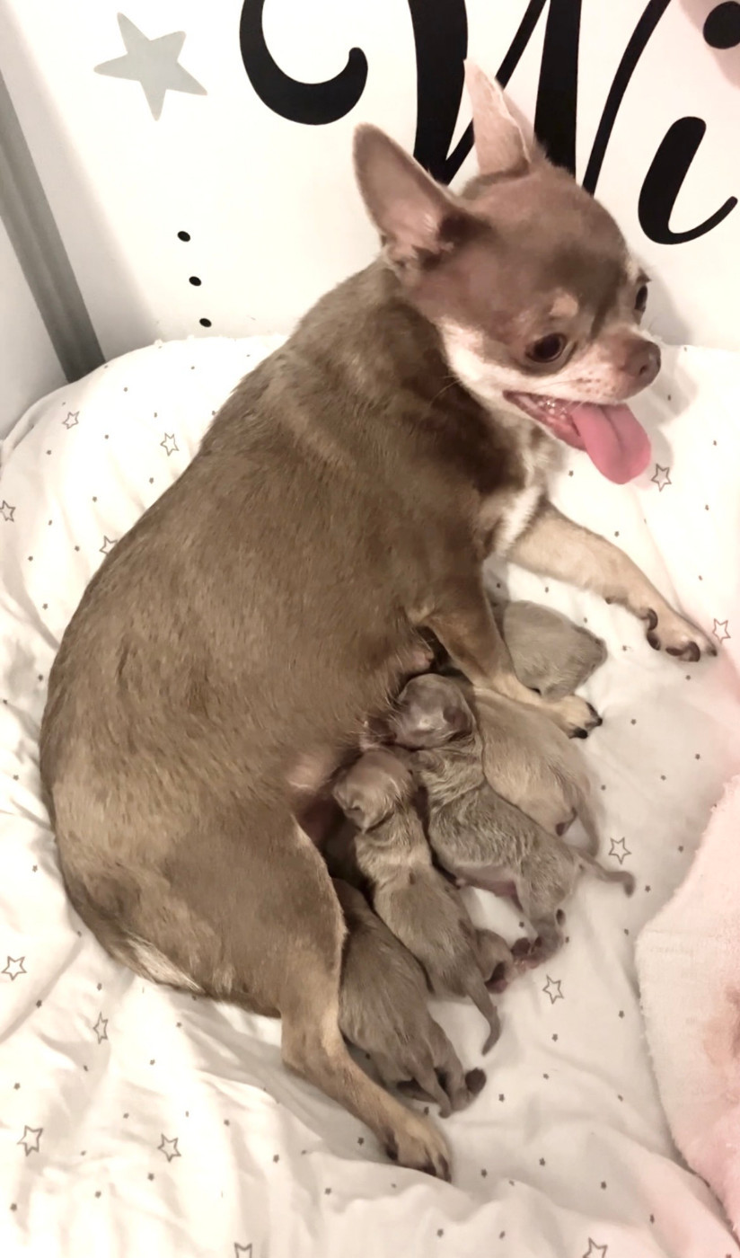 Star Pyla - Magnifique naissance
