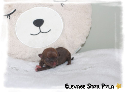 ABSOLUTELY ADORABLE (miniature)